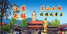 免费视频插射爱江苏无锡灵山大佛旅游风景区